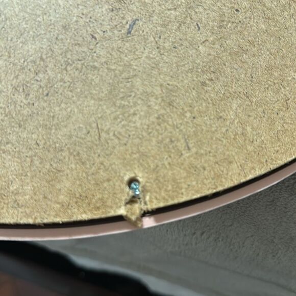 Barbara Mock Pink Oval Oil Painting Print Lady Reading By the Lake View Window - Picture 5 of 7